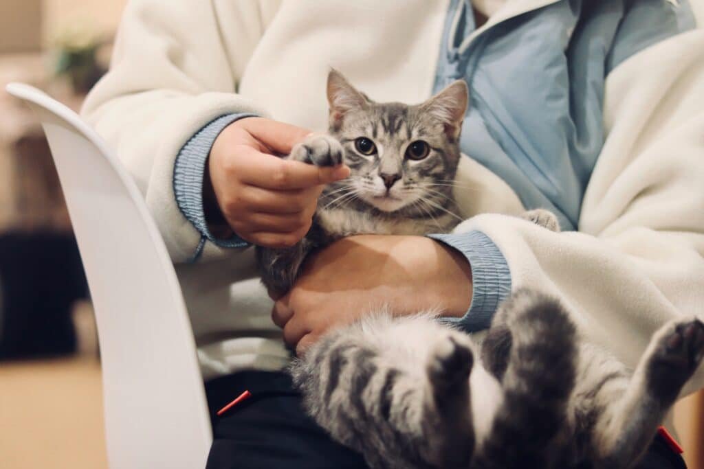 Veterinary Practice Financing 1
